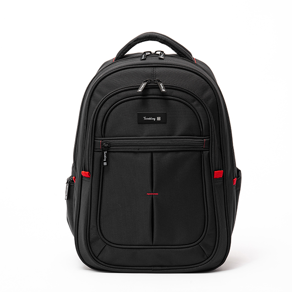 High capacity business backpack